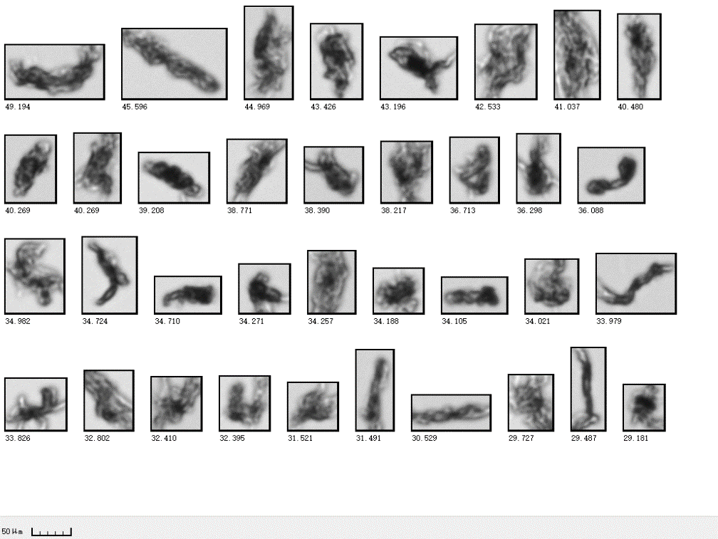 1615533468259431.png 8.png