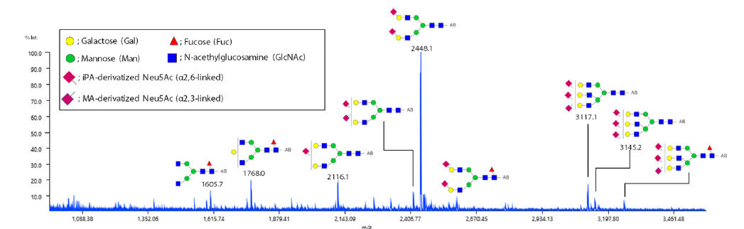 1616031058902029.png 6.png