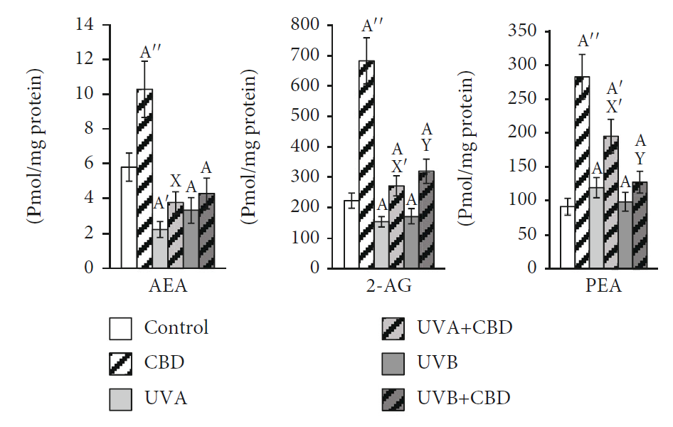 1617238802247149.png 3.png