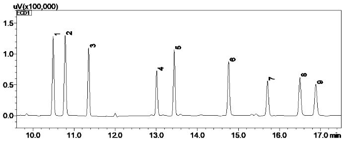 1620349561645783.jpg 9.JPG