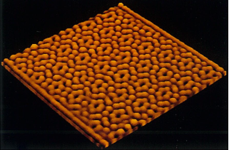 1620955008262867.png 3.png