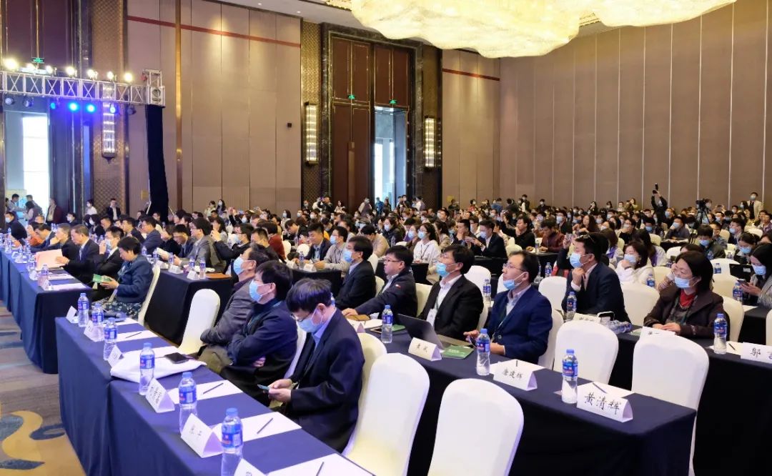 1621472712786136.jpg 2.jpg