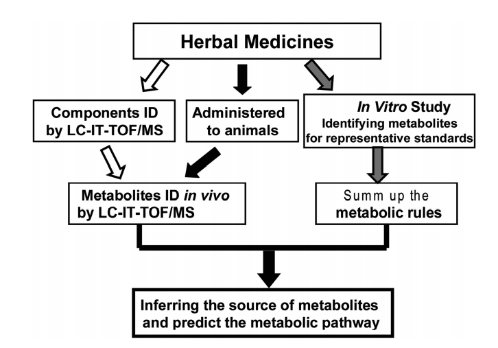 1621820041522888.png 5.png