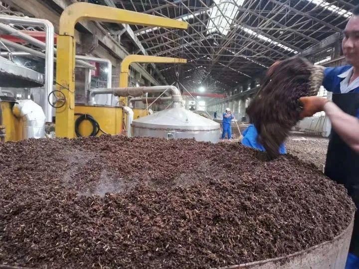 1623115126305938.jpg 1.jpg