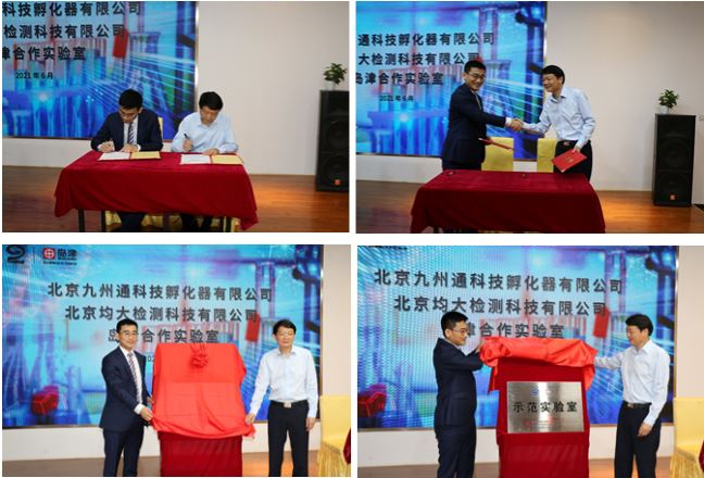 1623251002497254.jpg 5.JPG