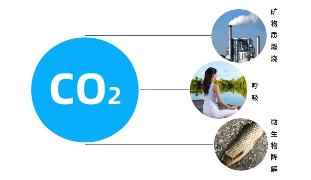 1624981092899533.jpg 1.jpg