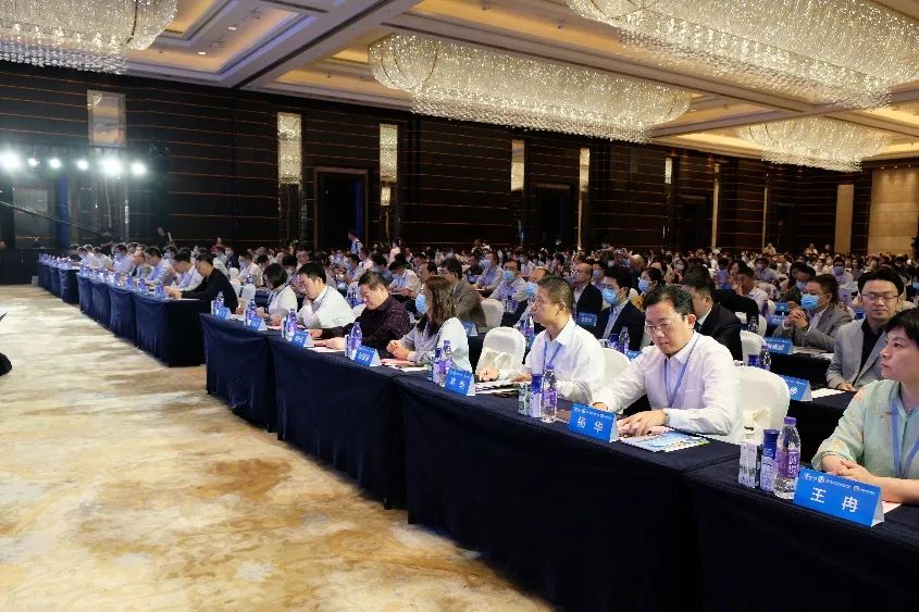 1626225461723287.jpg 2.jpg