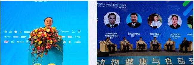 1626225610603435.jpg 10.JPG