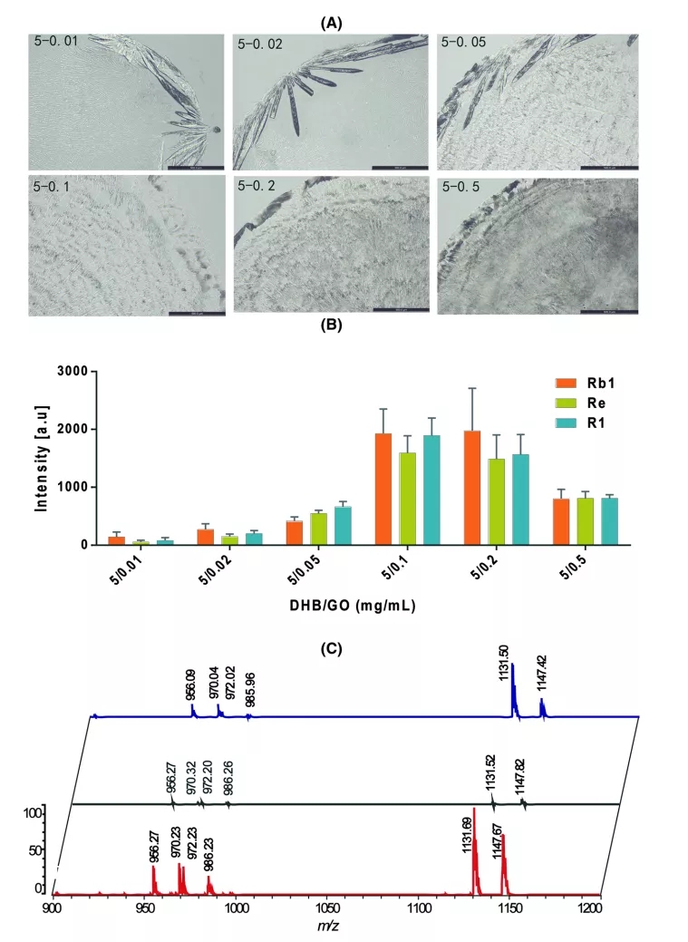 1626404487431986.jpg 5.webp.jpg