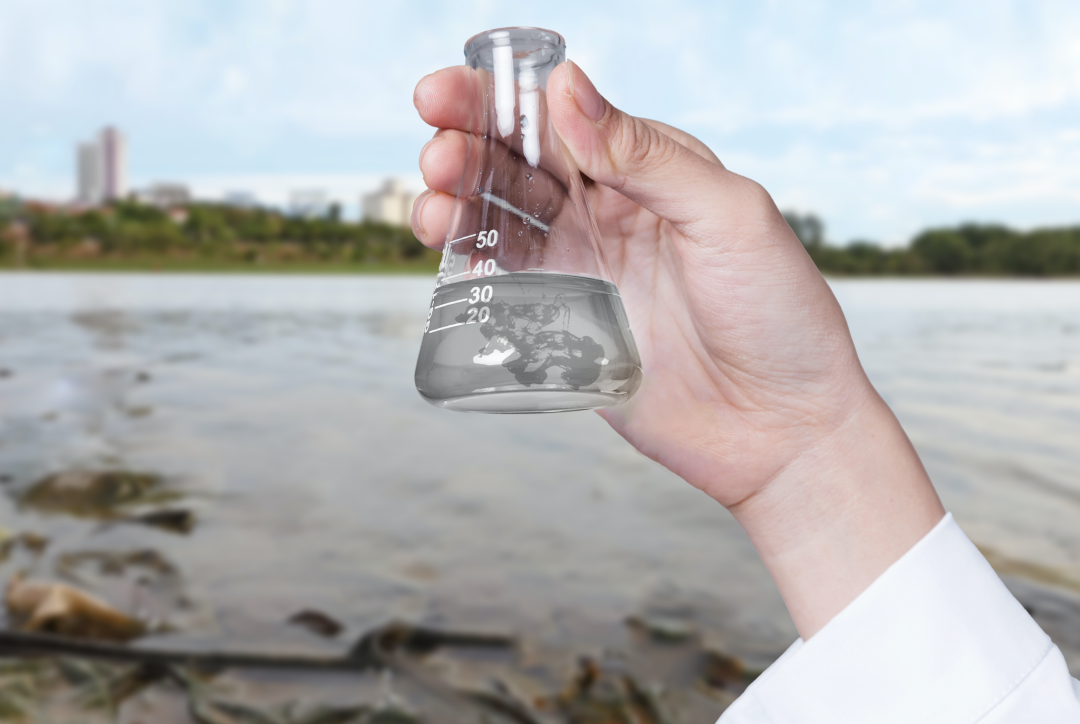 1626759654249645.png 1.png