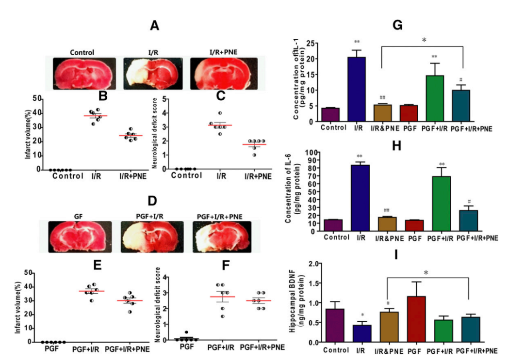 1626828982632383.png 5.png