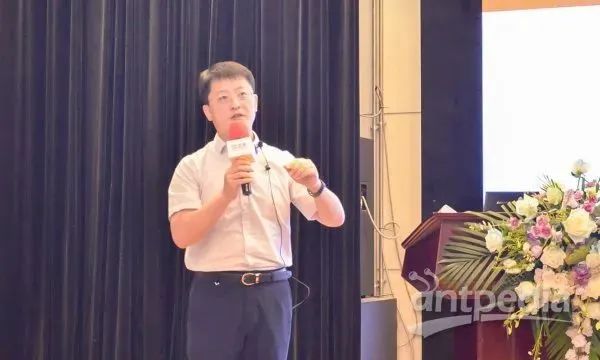 1627355128115043.jpg 7.jpg