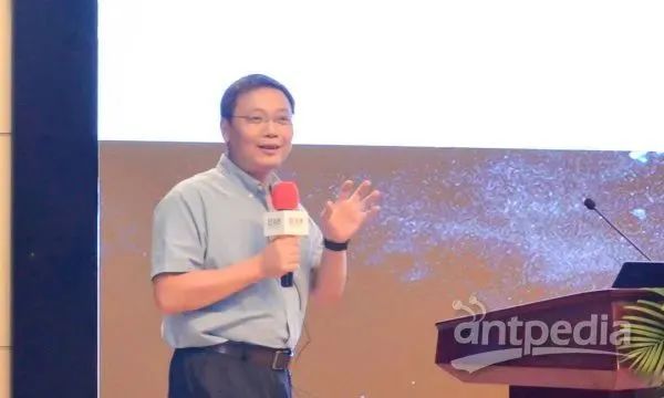 1627355191975348.jpg 10.jpg