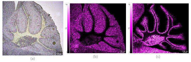 1627521705677914.jpg 5.JPG