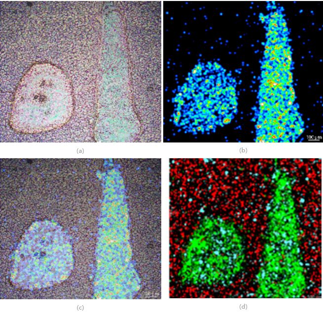 1627521751890700.jpg 7.JPG