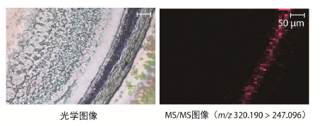 1630028077344171.png 6.png