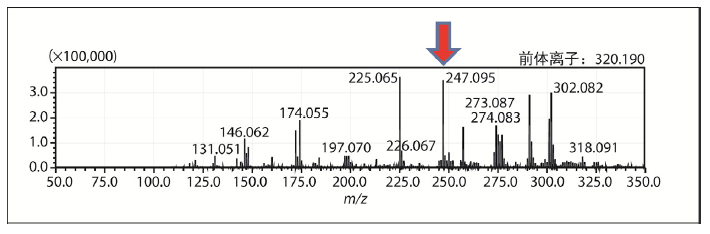 1630028114459716.png 8.png