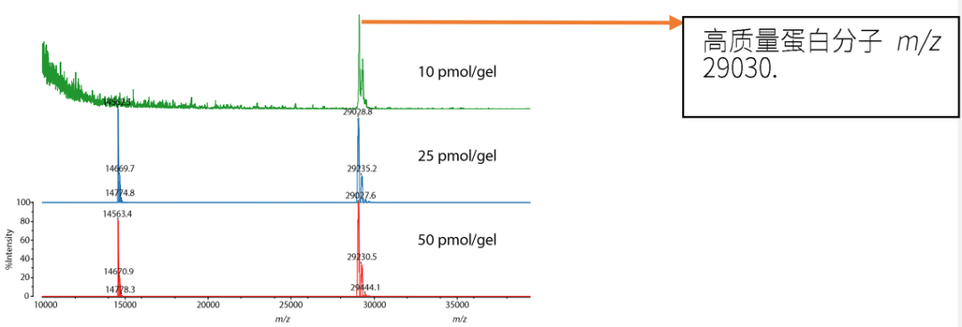 1630286124393215.png 2.png