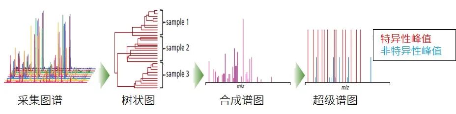 1633743705683239.jpg 3.jpg