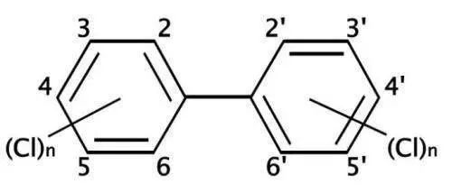 1634625628936561.jpg 1.jpg