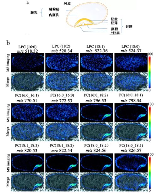 1635386886368525.jpg 4.JPG