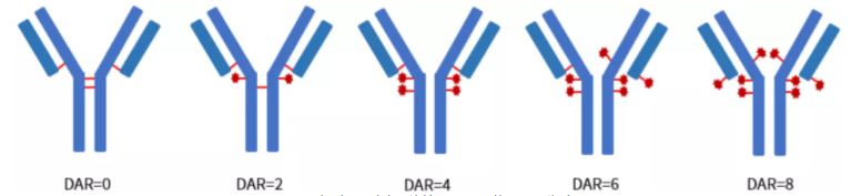 1635387032983193.jpg 2.JPG