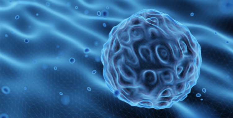 1635478084436797.png 1.png