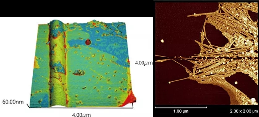 1637206070340795.jpg 3.webp.jpg