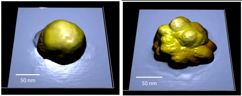 1637206166919172.jpg 8.webp.jpg