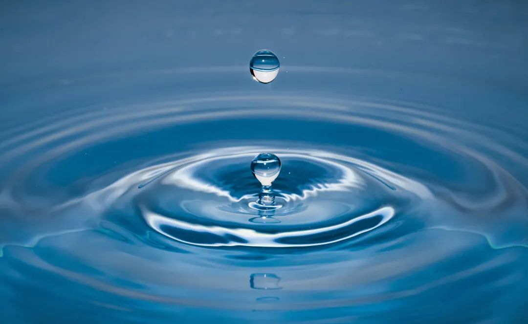 1637546344984516.jpg 1.jpg