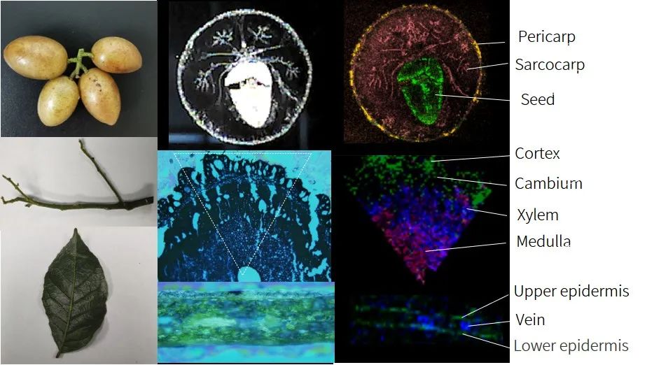 1637805699804493.jpg 2.jpg