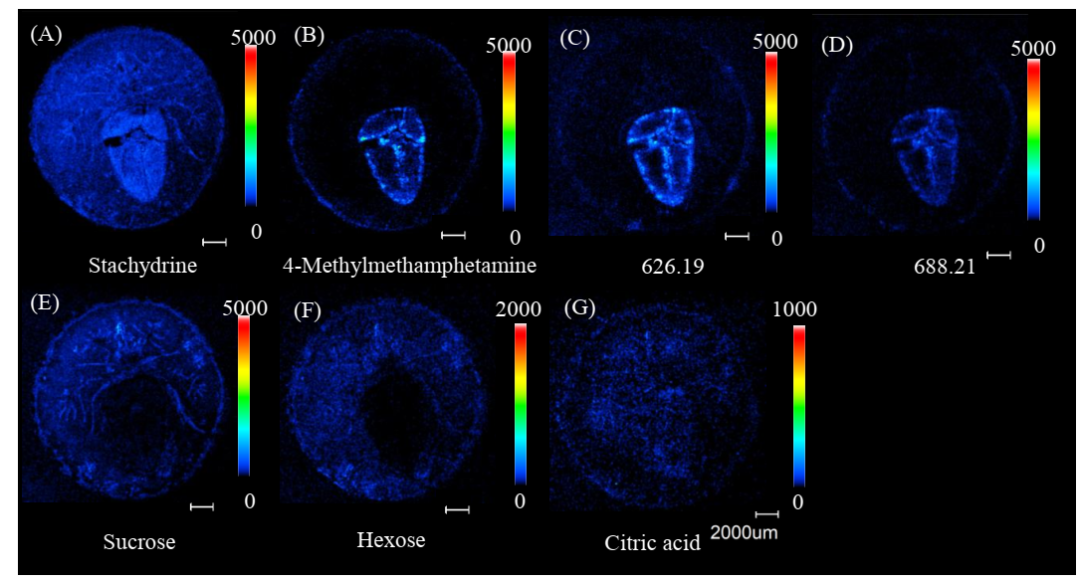 1637805788244702.png 5.png