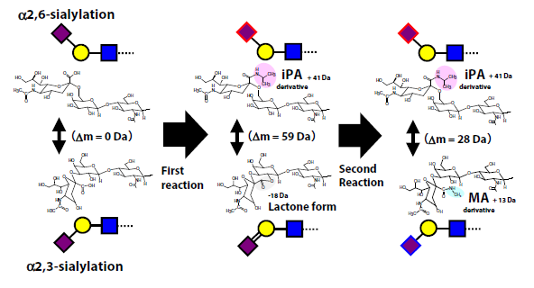 1638235452540185.png 2.png