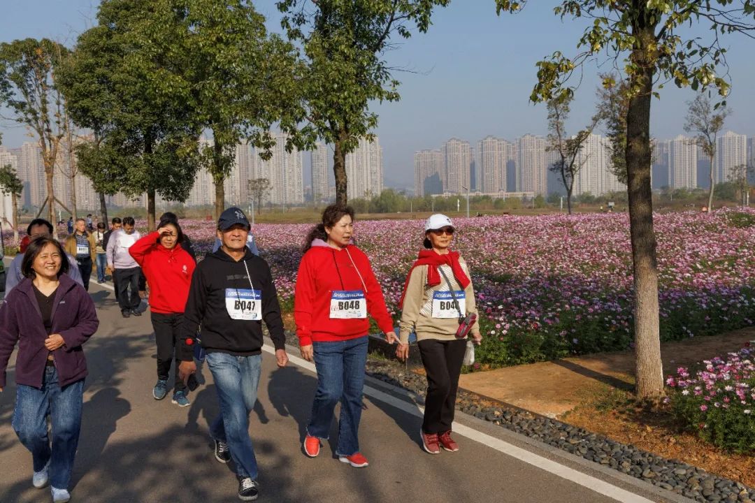 1638235939176248.jpg 7.jpg