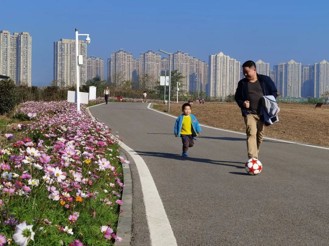 1638235962270709.jpg 8.jpg