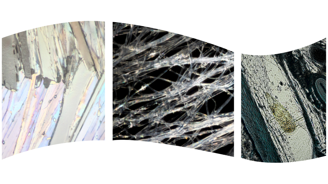 1639017220358434.png 1.png