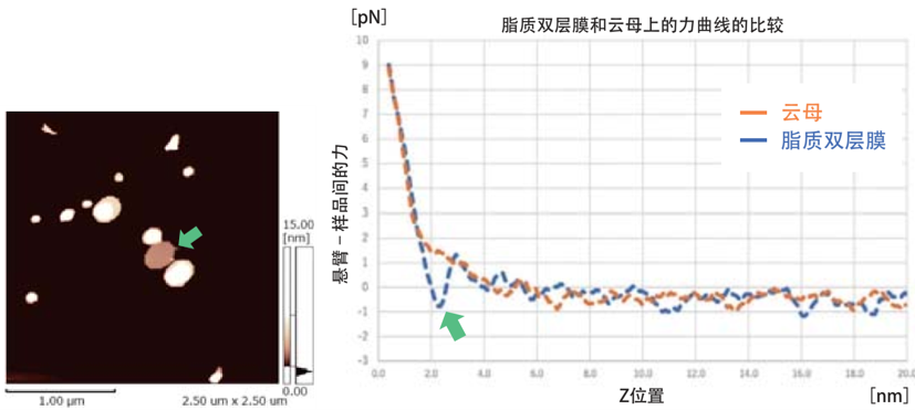 1639017307467364.png 5.png