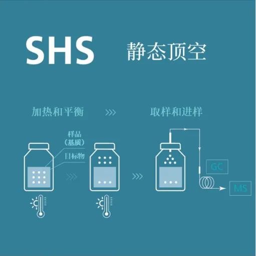 1639534751243899.jpg 4.jpg