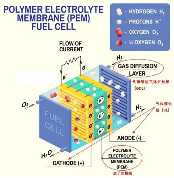 1646186794438895.jpg 2.JPG