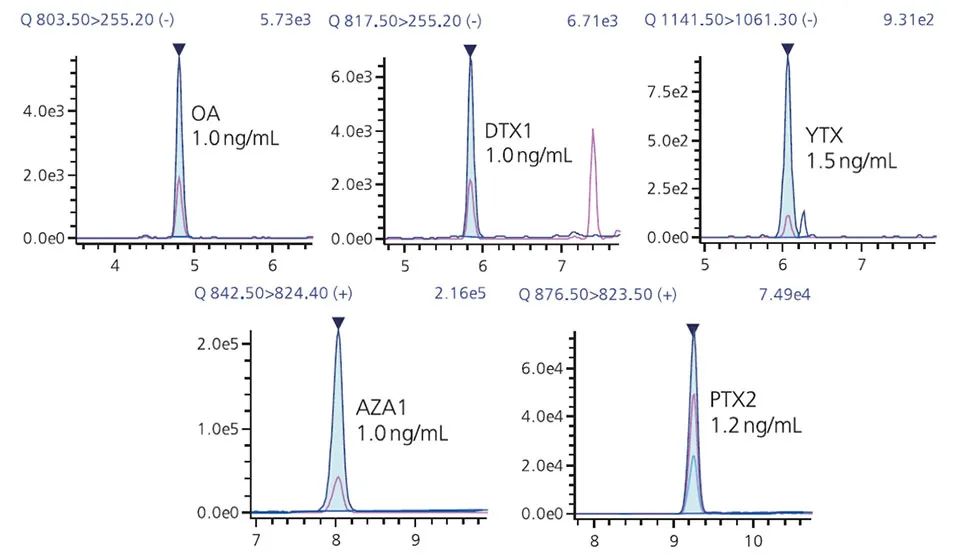 1675654612752649.jpg 6.jpg