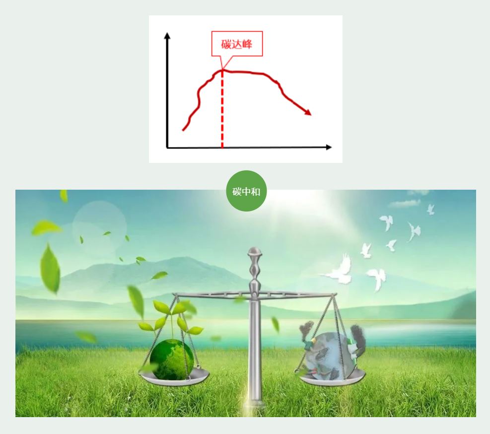 1679626548509878.jpg 2.JPG