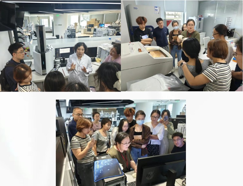 1754270746718596.jpg 11.jpg